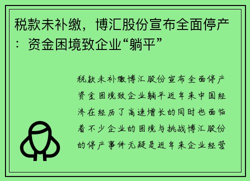 税款未补缴，博汇股份宣布全面停产：资金困境致企业“躺平”